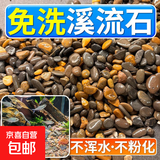 天然原生态溪流石底砂鱼缸专用过滤鹅卵石小石头龟缸造景装饰底砂 8-12mm【5斤装】 天然溪流石