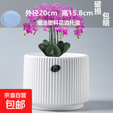 盆生花道特价花盆陶瓷简约透气带托盘家用阳台盆栽绿植多肉盆厂家 1个特大号雅典古瓷白(配托) 无规格