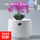 盆生花道特价花盆陶瓷简约透气带托盘家用阳台盆栽绿植多肉盆厂家 1个中号雅典古瓷白(配托)陶瓷 无规格