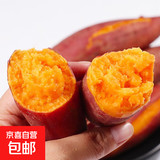 蜜红薯沙地地瓜 小薯香薯红苕当季新鲜蔬菜产地直发约现采现发 新鲜红薯5斤净重（单果150g+