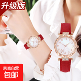 石英手表女士学生韩版简约时尚百搭休闲大气石英女表 红色