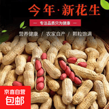 红皮花生 四粒红花生仁带壳花农家新货带壳红花生米五谷杂粮 红皮花生米3斤