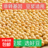 黄豆 非转基因大豆 农家大豆子五谷杂粮发豆芽打豆浆小黄豆 黄豆5斤