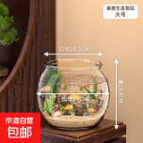 高清鱼缸 生态缸桌面溪流缸迷你金鱼缸小型水族箱养鱼龟缸PET 大号鱼缸【超清8K高透/摔不碎/久用不糊】