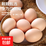 山林散养鲜鸡蛋40g枚早餐京东包邮买菜生鲜土鸡蛋溏心蛋水煮蛋 10枚 40g