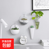 花盆绿植盆栽塑料水培壁挂式贴墙上室内多肉铜钱草绿萝盆栽创意 长条小号