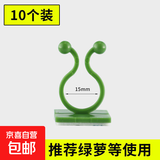 绿萝爬上神器爬墙上绿箩固定器绿植攀爬夹子墙上无痕挂钩粘爬藤杆 藤蔓固定夹-绿色-中号-10个