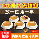 蟑螂药杀虫剂蟑螂屋杀蟑胶饵家用厨房全窝室内除蟑螂饵剂 四盒装（32个）