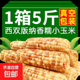 云南花糯小玉米西双版纳香糯玉米宝宝真空包装即食香甜软糯蔬菜 真空香糯小玉米净重4.5斤