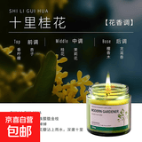 桂花香薰蜡烛家用室内持久茶香小众高级礼物女生卧室熏香客厅 十里桂香100g（淡雅桂花香）