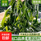盐渍裙带菜 海带嫩苗儿童海白菜 海藻菜 裙带菜叶5斤