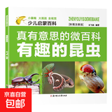 真有意思的微百科全八册 少儿启蒙百科精美彩图注音版内容丰富多彩小学课外阅读百科书籍推荐 有趣的昆虫 单册 无规格