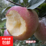 苹果红富士徐州丰县大沙河苹果10斤新鲜水果冰糖心丑苹果脆甜正宗 10斤红富士丑苹果精品
