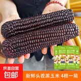 山西精品黑糯玉米 真空包装 当季头茬黑玉米黑珍珠甜糯玉米粘玉米 黑糯玉米4棒 单棒＞220g