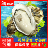 生蚝山东大生蚝鲜活牡蛎肉质肥美净重5斤原产地直发到家 5斤XL【约28-33个】清蒸版