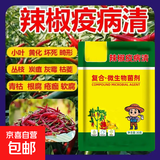 辣椒疫病清黄化炭疽黄叶枯萎根腐灰霉软腐病毒辣椒专用微生物菌剂 5袋【壮枝绿叶+促花促果】