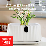 盆生花道长方形陶瓷花盆ins风简约高颜值室内绿植盆栽奶油风家用 长竖纹带托盘哑光白(配陶瓷托盘) 无规格