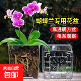 亚克力正方形透明花盆塑料种植盆水培透气加厚蝴蝶兰专用控根盆 2号10.5*9*11cm【送托盘】 1个装
