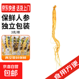新鲜人参 3g/根 保鲜人参 真空塑封鲜参东北人参泡酒炖汤材料 1根