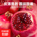 【软籽红石榴】会理软籽石榴新鲜当季水果爆汁饱满多汁-巴蜀 1粒装单果150g+拍三单发四粒