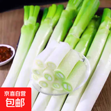 正宗山东大葱铁杆长葱好吃新鲜脆甜香章丘大葱葱头当季蔬菜可生吃 9斤【源头直采包邮】