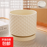 简约陶瓷花盆带托盘家用多肉蝴蝶兰吊兰绿萝盆栽清仓大号轻奢ins 柠檬蜂窝纹（配网格托盘） 单个小号