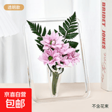 轻奢ins风创意透明相框花瓶 桌面摆件水培插花瓶 女神伴手礼礼物 透明款【新升级】*1个