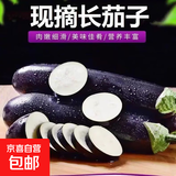 寿光农家紫茄子紫茄新鲜现摘生鲜超市蔬菜烧烤搭档 五斤绿把茄子 5斤