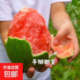 山东正宗头茬2k手剥皮小西瓜薄皮新鲜冰激凌小糖丸超甜手撕小吊瓜 净重3-4斤 手撕小西瓜