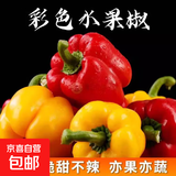 山东水果彩椒圆椒产地直发 红黄绿三色水果彩椒净重 5斤