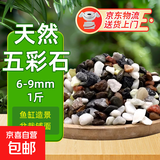 天然五彩石原石鱼缸底砂造景装饰庭院装饰多肉盆栽铺面五彩小石头 天然五彩石1斤【6-9毫米】