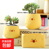 多肉小花盆陶瓷特价清仓卡通动物精致小号大口径可爱专用盆桌面 三个小黄鸡组合 中