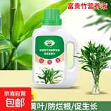 富贵竹专用营养液水养水培植物肥料转运观音竹子家用治黄叶通用 富贵竹专用营养液500ml×1瓶