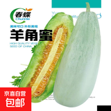 春蝶蔬菜种子四季播盆栽阳台庭院黄瓜豆角番茄甜瓜易种籽孑大全 羊角蜜甜瓜【原装1包 约38粒】 一包(试种贵在快递费)