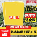 黄色粘虫板黄板双面苍蝇药防虫黄色粘虫板果园蔬菜大棚驱虫用 25*20cm双面强力黏虫板（50张）
