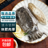 大墨鱼 鱼 鲜活冷冻舟山海捕东海特大目鱼乌贼海鲜水产非墨鱼仔 墨鱼 5斤(净重)