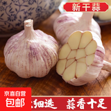 山东大蒜【中果】新鲜干蒜紫白皮大蒜农家新蒜头生鲜蔬菜调味辛辣 大蒜中果3.5-4.5cm【净重 100g 】