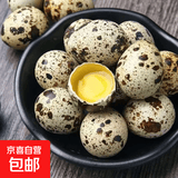 京喜加新鲜鹌鹑蛋宝宝辅食当日现捡现发生鲜超市批发批发早餐礼物单枚8g 100枚