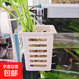 鱼缸水培定植篮壁挂式水草杯植物固定支架造景装饰配件绿萝定植篮 白色 5个 【升级款 双层加厚】