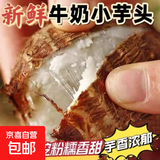 【真便宜】正宗新鲜牛奶芋头蔬菜芋艿香甜粉糯早餐代餐辅食 5斤装 现挖小芋头（小果）