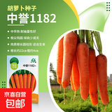 大白菜种子空心菜生菜奶油小白菜红心胡萝卜西葫芦农科院蔬菜籽孑 中誉1182胡萝卜 1克