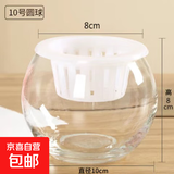轻奢简约玻璃花瓶水培养鱼圆球龙蛋方缸客厅桌面摆件简约玻璃花瓶 10圆球+定植篮+吸水绳