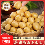 恩施小土豆富晒新鲜现挖黄皮迷你马铃薯粉糯高山洋芋马尔科土豆 1斤-小果-乒乓球大小(带箱)