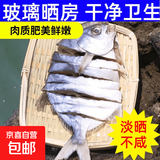 广东正宗淡晒海鱼金鲳鱼鱼干干货海鲜小鱼干干鱼真空金鲳鱼金仓鱼 4条金鲳鱼干（6-7成干）推荐 150g-200g