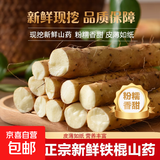 【东东农场专供】正宗河北铁棍山药新鲜怀山药药食同源当季蔬菜 长度20cm-30cm2斤 带箱
