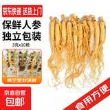 新鲜人参 3g/根 保鲜人参 真空塑封鲜参东北人参泡酒炖汤材料 10根