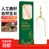 林下山参  长白山干人参泡酒料煲汤泡茶泡水秋冬送长辈礼品 山参1盒【7克/盒】