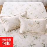 钻石棉唯美风枕套一对卡通学生单人枕套 仙草 【48x74cm】2个枕套