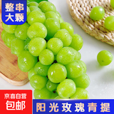 阳光玫瑰葡萄晴王青提香水提子新鲜现摘时令水果无籽脆甜多汁 带箱6斤/净重5-5.5斤/10g+