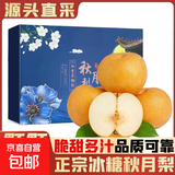 山东丰水梨子新鲜水果黄皮花脆甜酥翠冠酥雪梨当季采摘源头直发 【4.5斤礼盒装】秋月梨6个